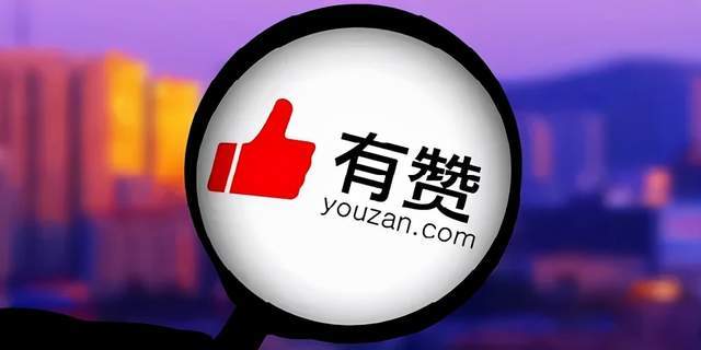 有赞可以为商家运营私域提供哪些服务？