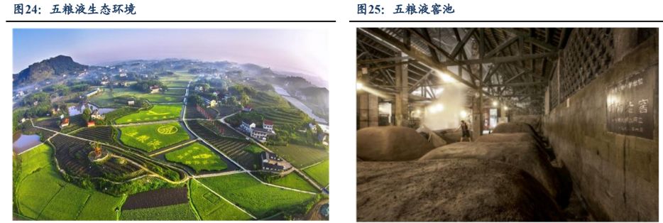 管理取两次守业，五粮液：奋楫扬帆稳驭船，笃止没有怠赴新 ...-20.jpg