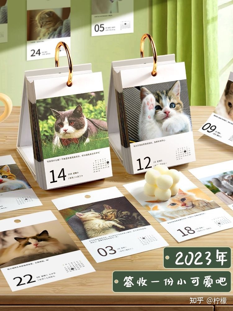 2023年，有哪些推荐的日历？