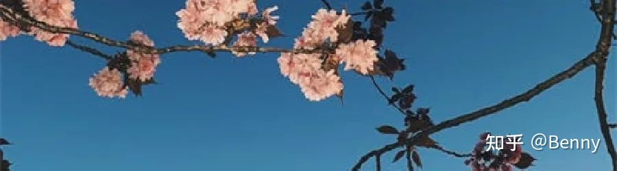 怎样把小红书企业号做好？怎样去运营？