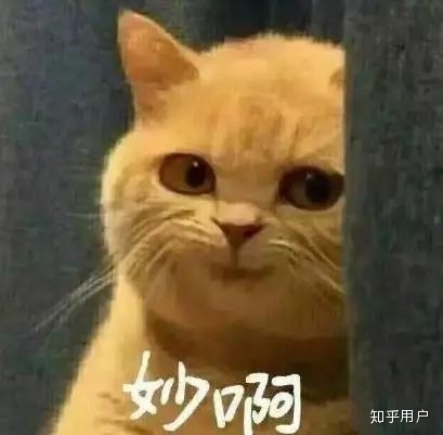 100248g9k8188m9gsr8aaa