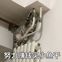 YouTube赢利：油管专主的收入滥觞有那6种~-8.gif