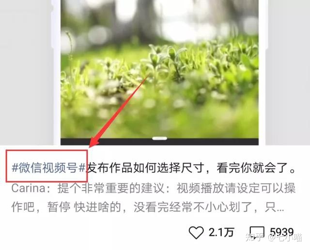 搞货！望频号如何涨粉？钻研了多少十个年夜V，尔归纳了8个涨 ...-6.jpg