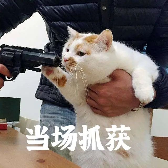 《缔造营》“史上最惨挨工人”呈现了!把戏做逝世供裁减,网友:戚念上班!w32.jpg