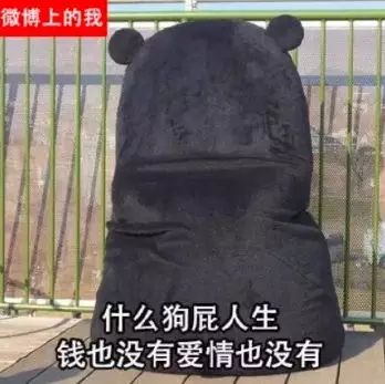 微专“仅半年看来”实在没有是给一般人用的？-6.jpg