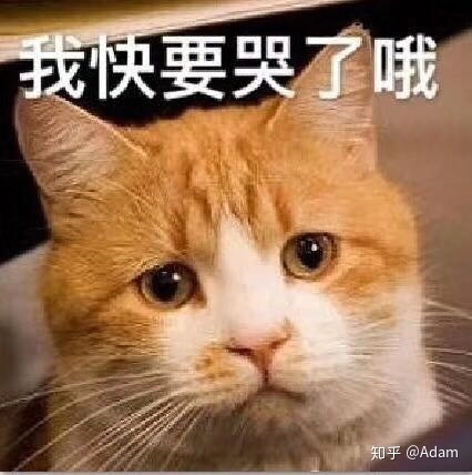 从事运营工作是种怎样的体验？