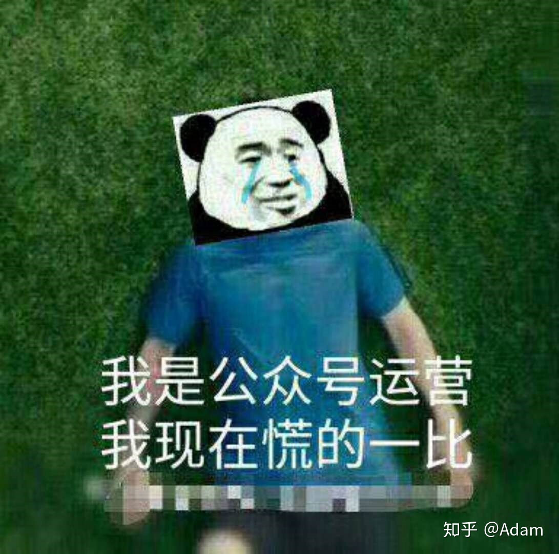 从事运营工作是种怎样的体验？