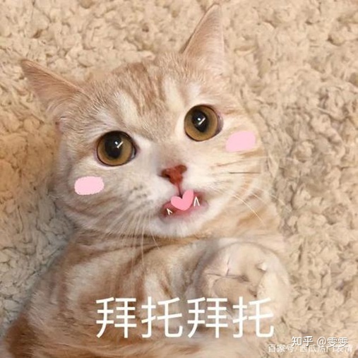 020448mgsq040gg0lezclp