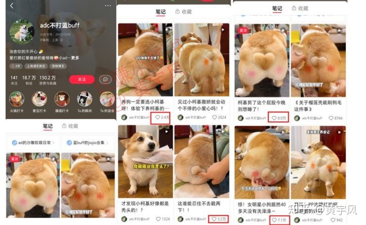 3.10 学您如何使用小白书籍用户的表情代价【玩赚小白书籍】-9.jpg