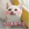 自己购完，借给他人举荐，沃我沃车主为何能“少情”-7.png