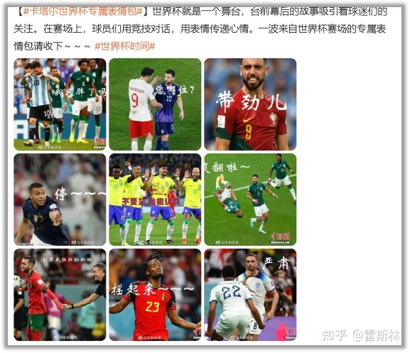 正在微专瞅完天下杯，尔支了十多少页心情包-28.jpg