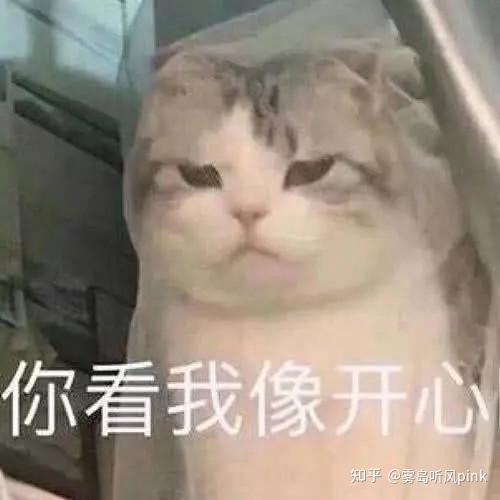 新媒体运营的工资到底好不好？一个月4000块正常 …