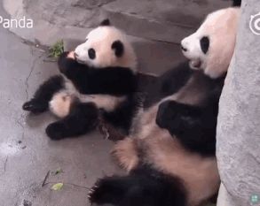 支付宝中的基金是不是坑人的？
