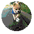 新中产利剑皮书籍消耗篇-56.gif
