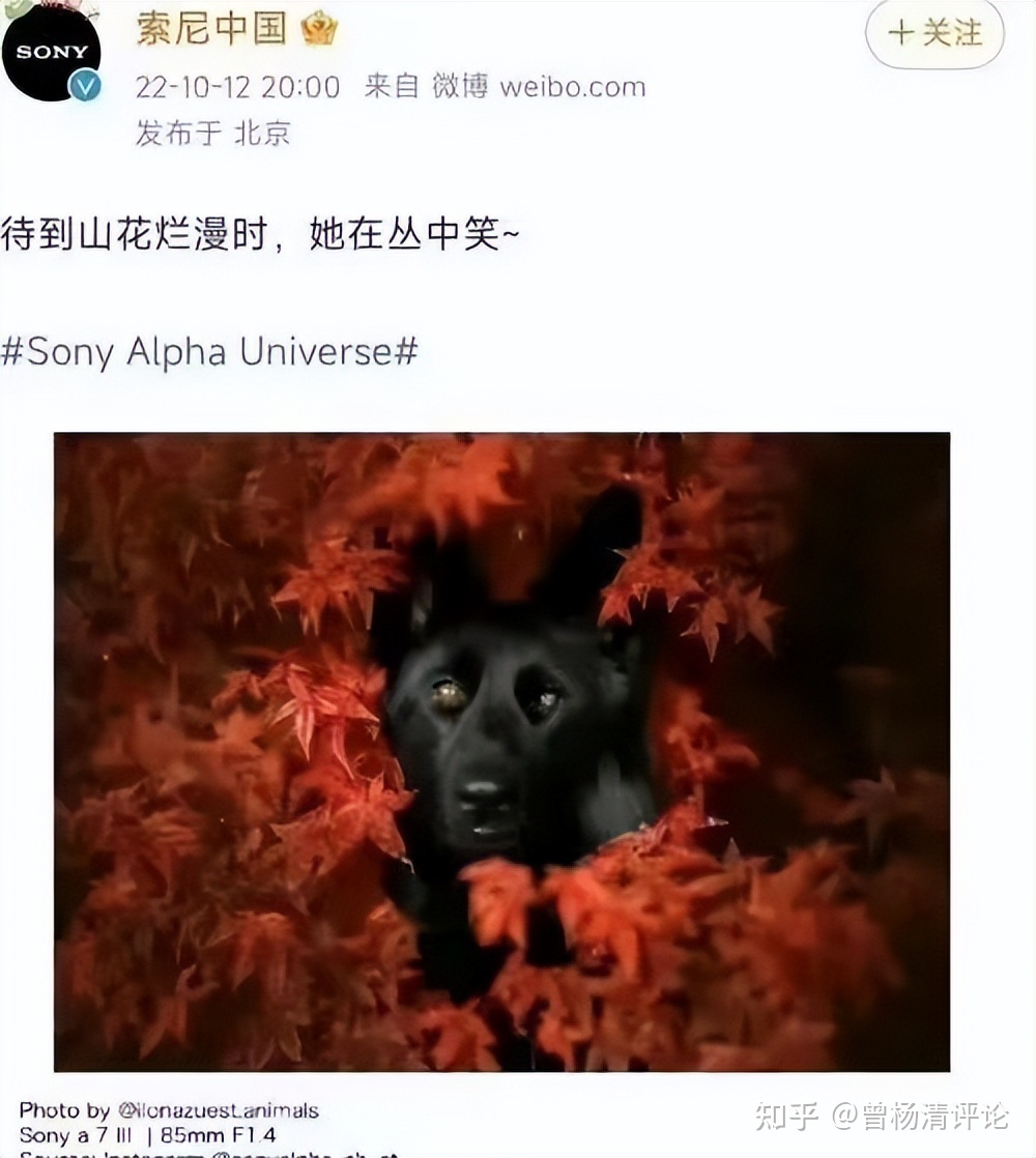 索僧微专欺负邱少云义士，实际上是一种文化从命性尝试-1.jpg