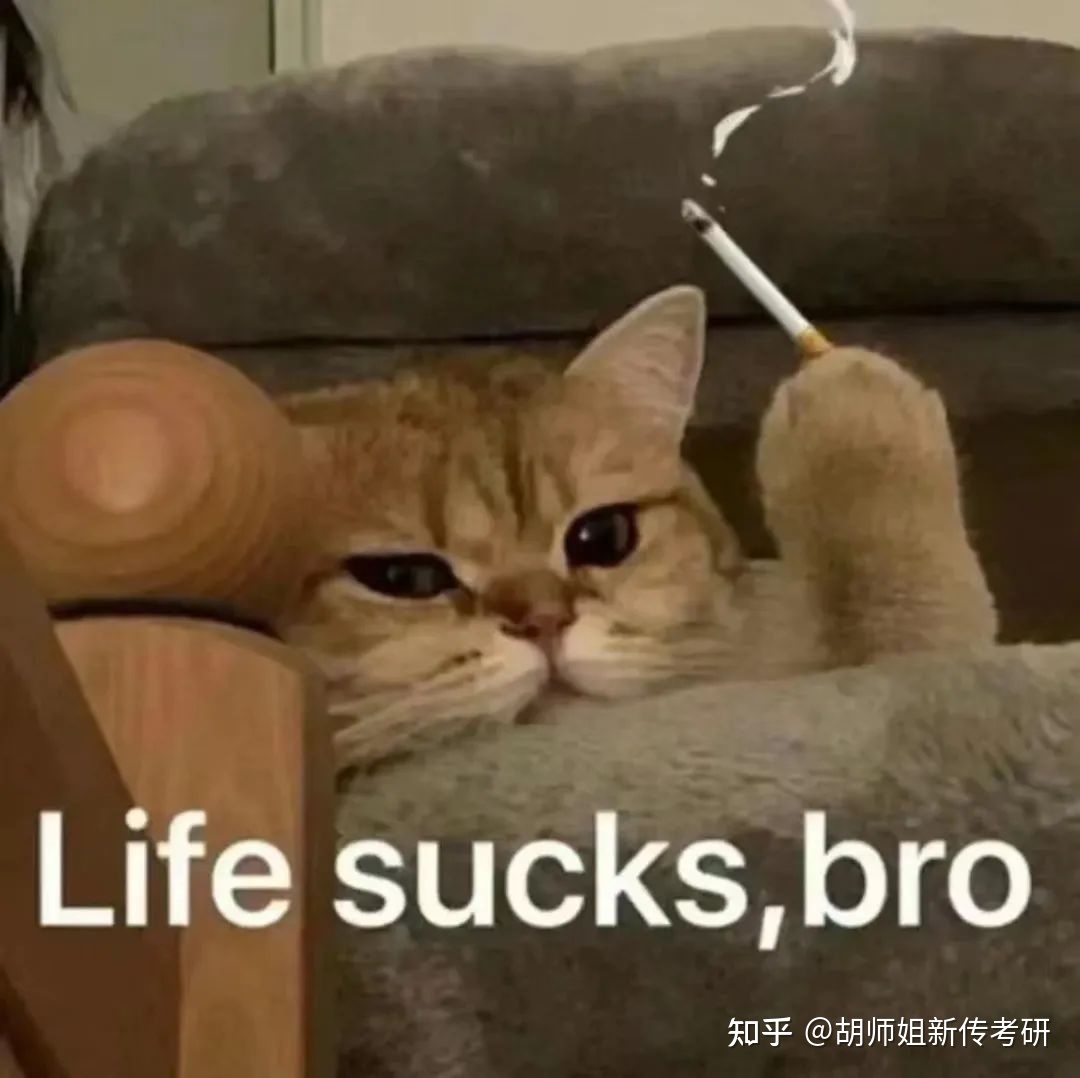 今年新传出题西席杀疯了吧，那些考题有面没有道武德！-6.jpg