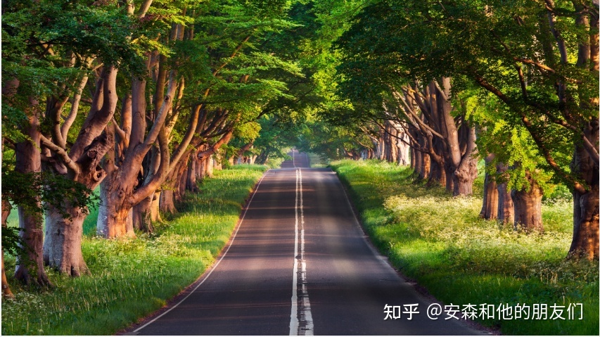 魔王热饭||#129 魔王道致富秘笈；产业反动重心；职场摸鱼 ...-1.jpg