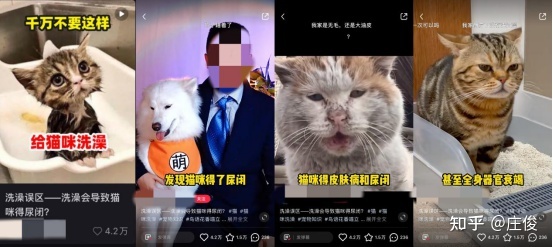 小红书的流量密码是什么？
