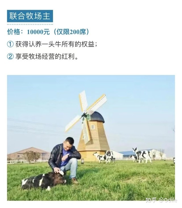 认养一头牛用户经营案例万字装解｜1600万会员认养6万头牛 ...-61.jpg