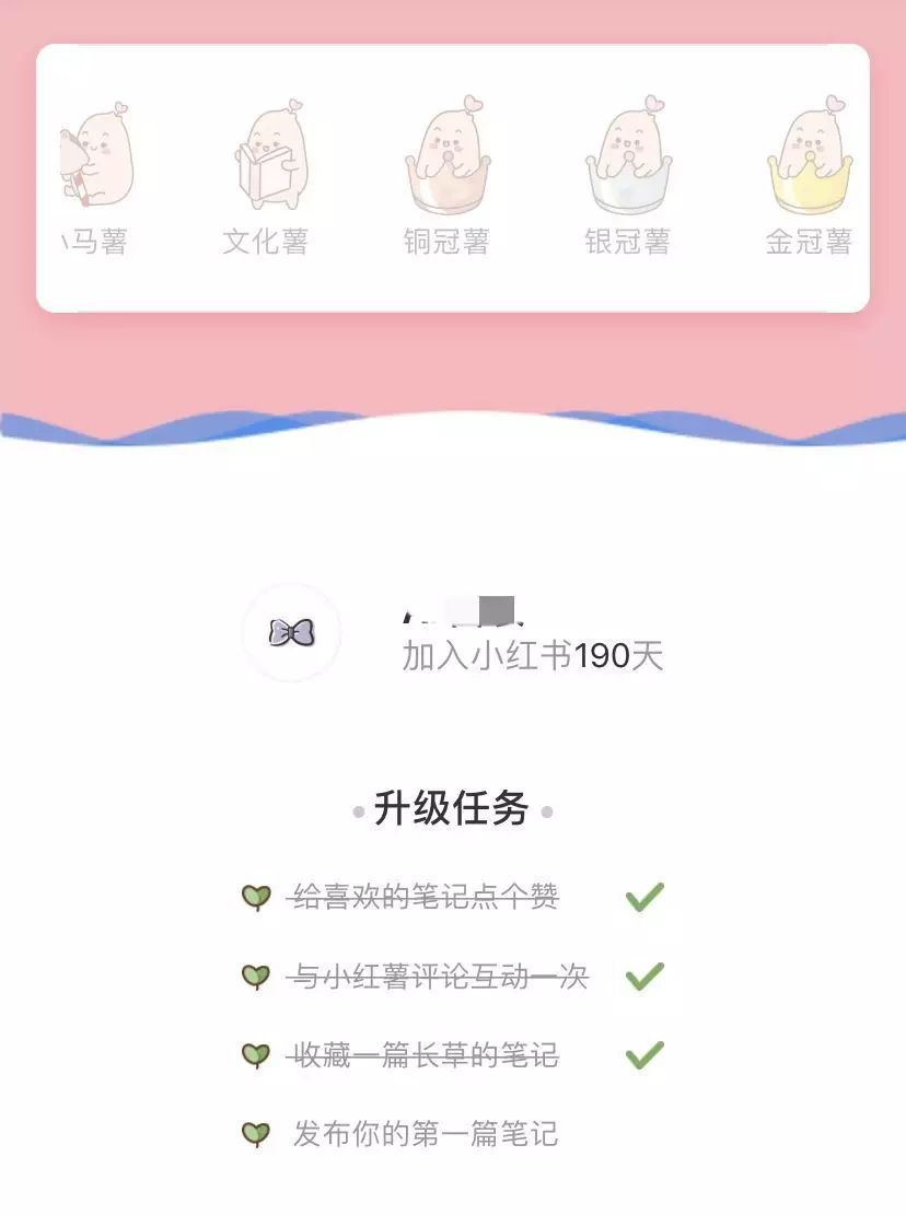 小红书如何涨粉？