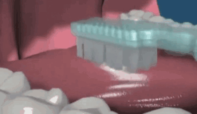 您给儿童刷对于了吗？巴氏刷牙法,给儿童刷牙的准确办法-8.gif