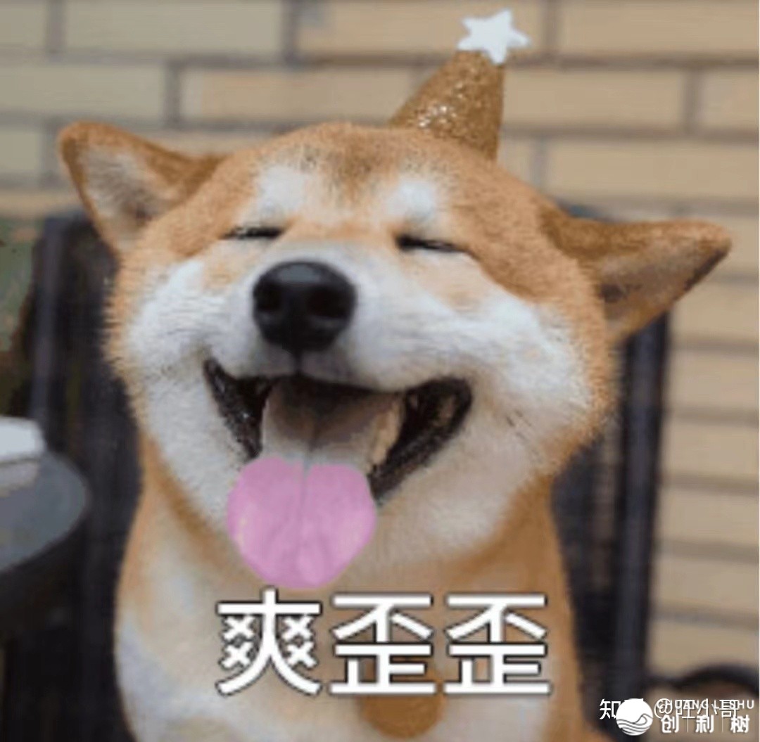 抖音中望频方案果然能赢利吗？分享一个0经历也能快速上脚 ...-6.jpg