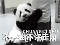 自媒体如何涨粉？