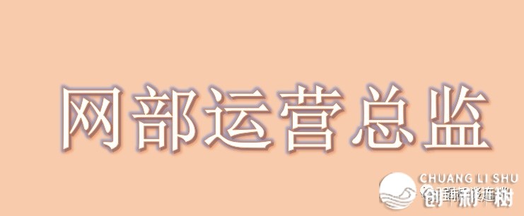 连锁企业9年夜下管岗亭工作分析-10.jpg