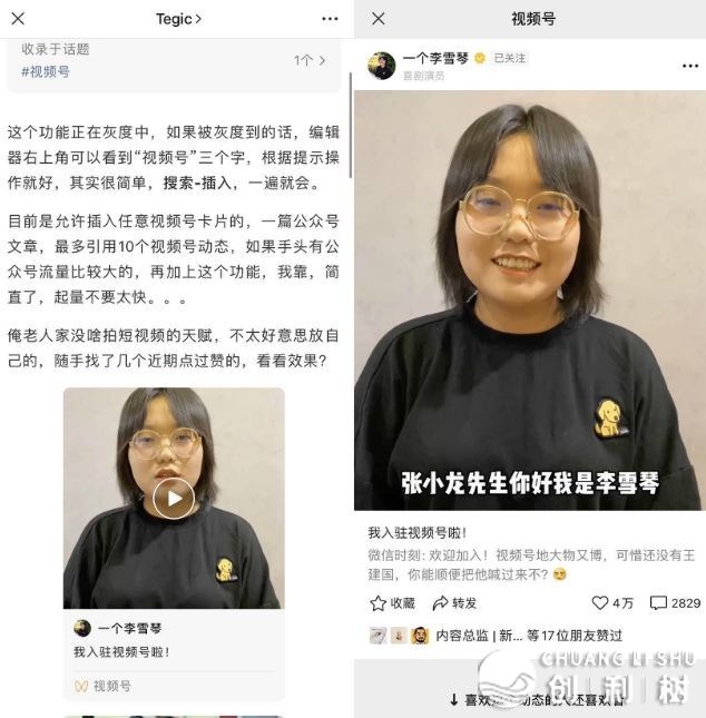 如何评价微信上线的视频号？它会成为下一个风口吗？