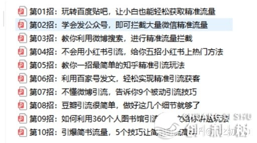 有什么引荐的官网引流方式嘛？求解？