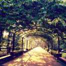 095145sfc00zztuxigg3a6