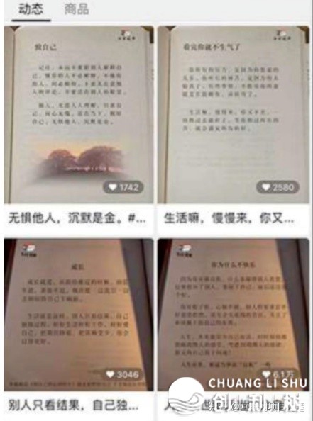 望频号书籍单名目，30天挣37000元，保母级学程-6.jpg