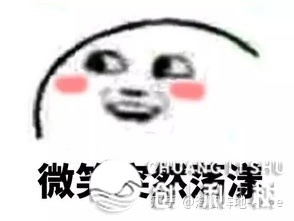 105633bc8ics2gi4cwm8ei
