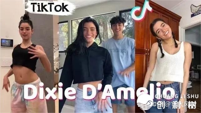 TikTok（国内版抖音）战海内抖音的区分,深度理解外洋抖音 ...-8.jpg