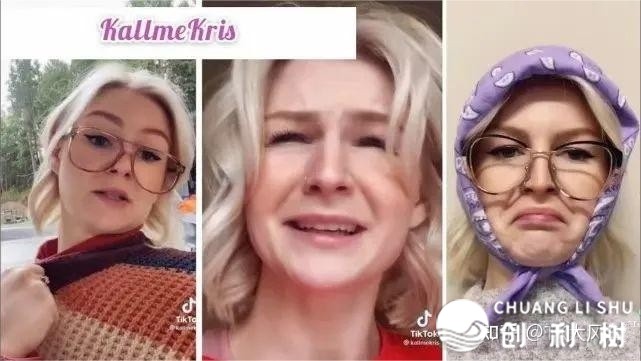 TikTok（国内版抖音）战海内抖音的区分,深度理解外洋抖音 ...-10.jpg