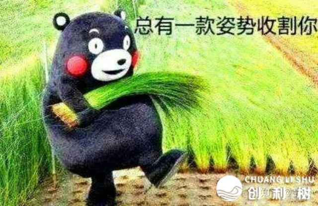 2019 年大火的「私域流量」是什么，反映了一种怎样的趋向 ...