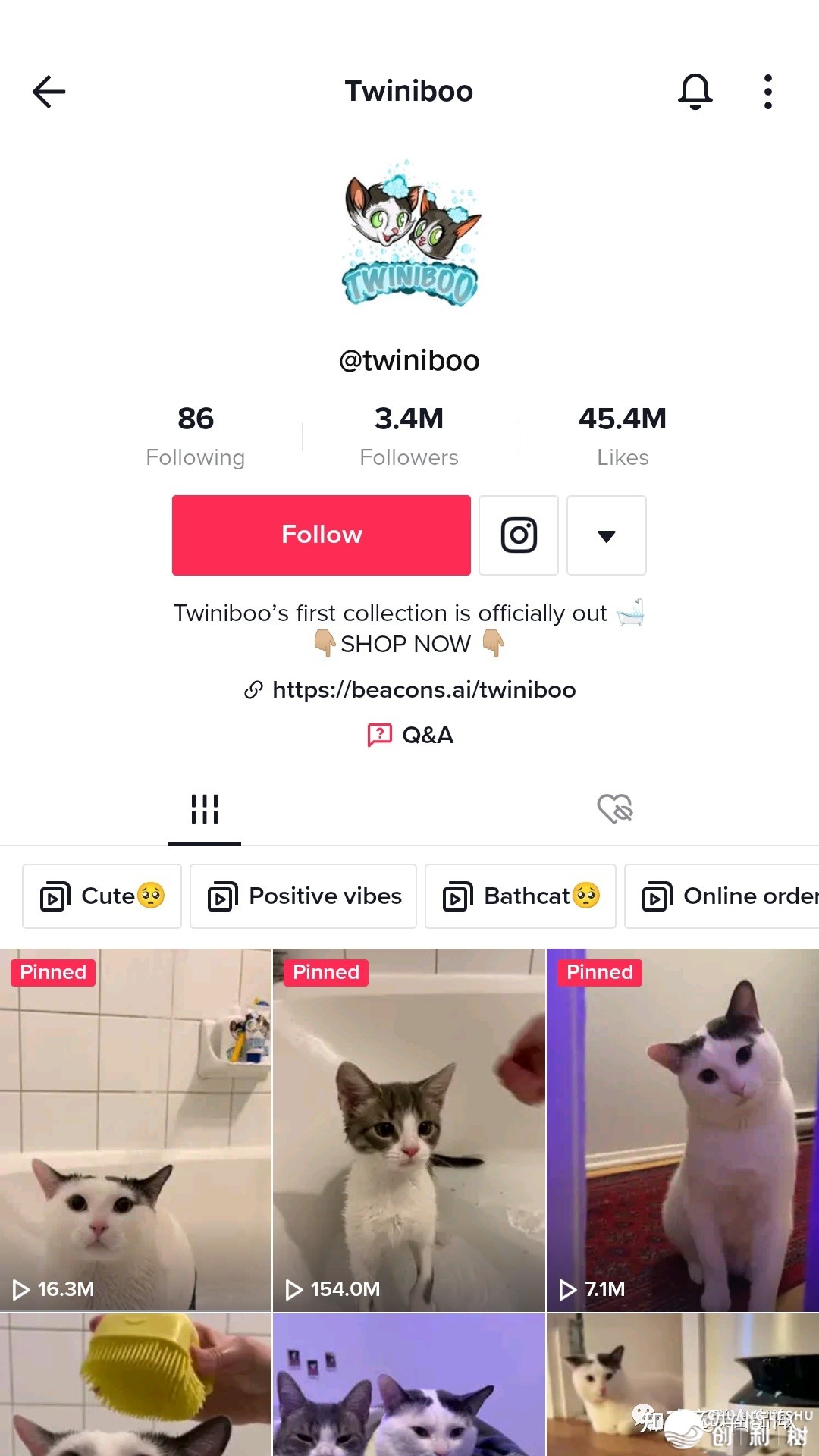 TikTok跨境电商热门类目戴货弄法装解：辱物用品篇-6.jpg