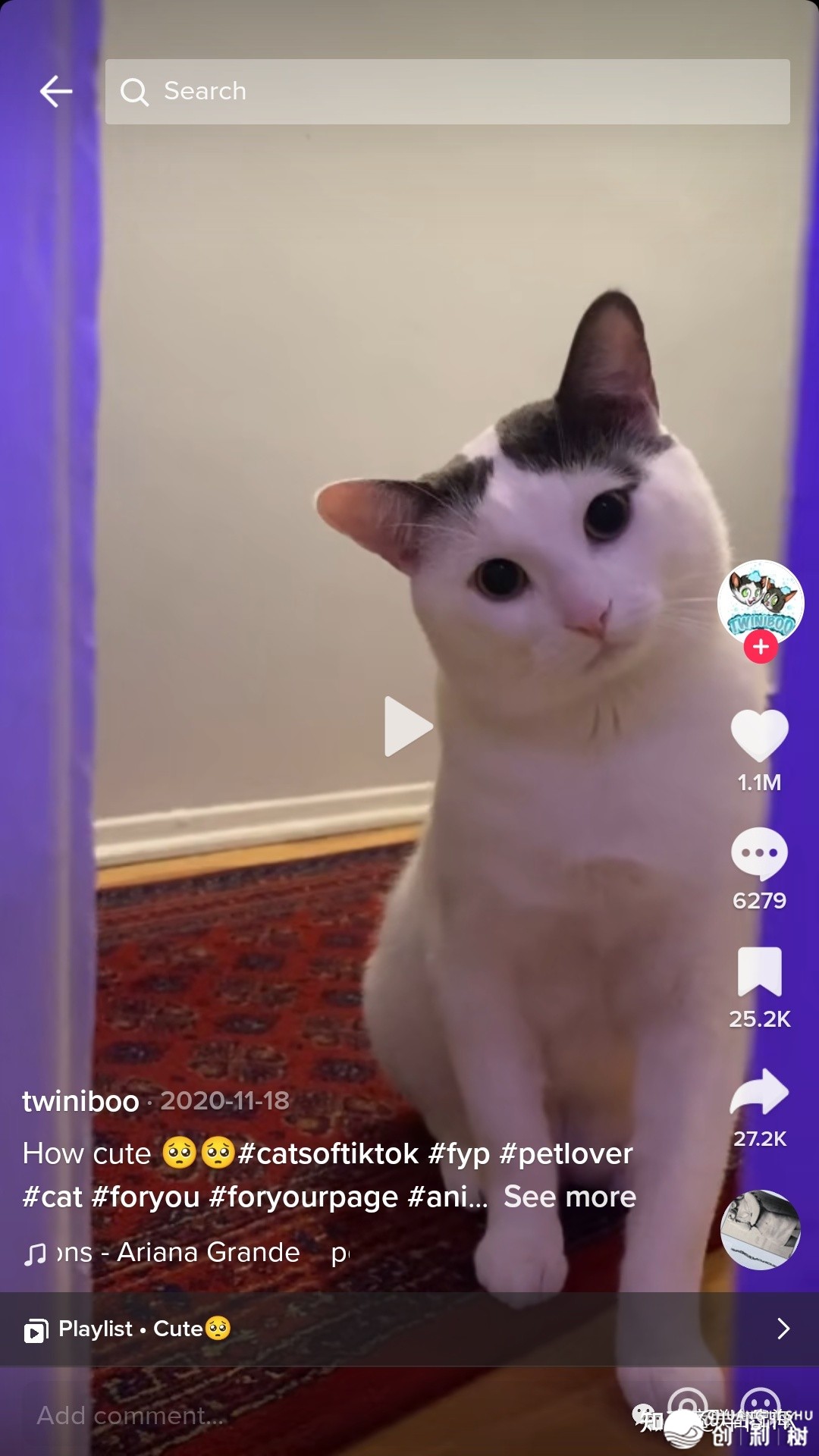 TikTok跨境电商热门类目戴货弄法装解：辱物用品篇-10.jpg