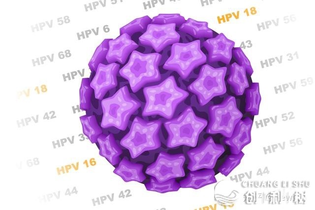 哪些接触能够传染HPV？