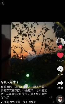 抖音爆款题目案牍罕见套路，抖音三天涨5000粉案牍-6.jpg