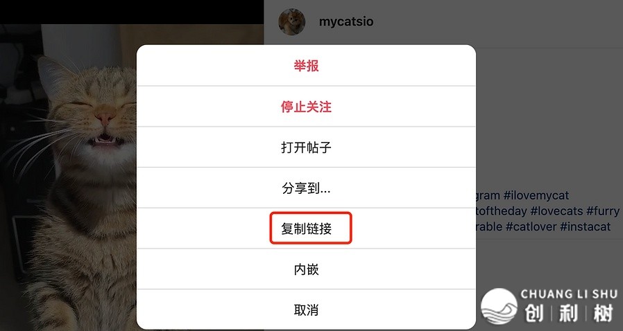 最齐Ins涨粉指北！戴您玩转instagram营销！-6.jpg