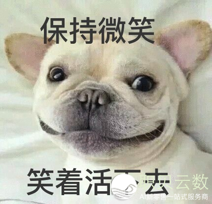 161041mjx6jvscgkcfgsxk
