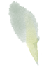 181016pzk89a4tnaiiai79