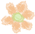 001650kcmmv6v00h0zeovc