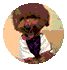 DeepSeek 使用取布置w90.jpg