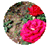 DeepSeek 使用取布置w91.jpg