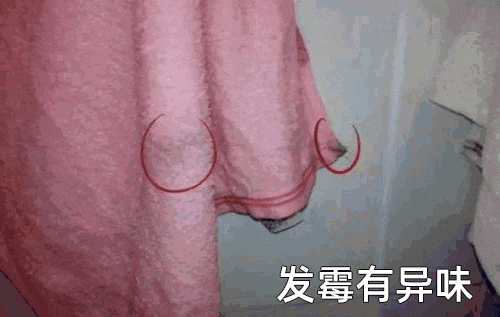 毛巾多暂该换?那一安康盲区终究被DeepSeek面破了~w9.jpg