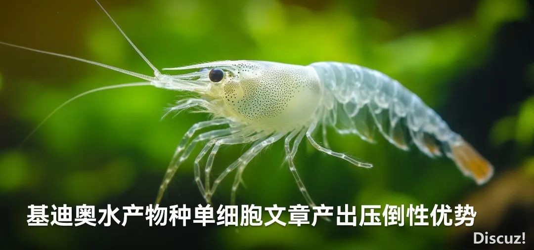 怎样使用DeepSeek画造多种斑斓的韦恩图?w35.jpg