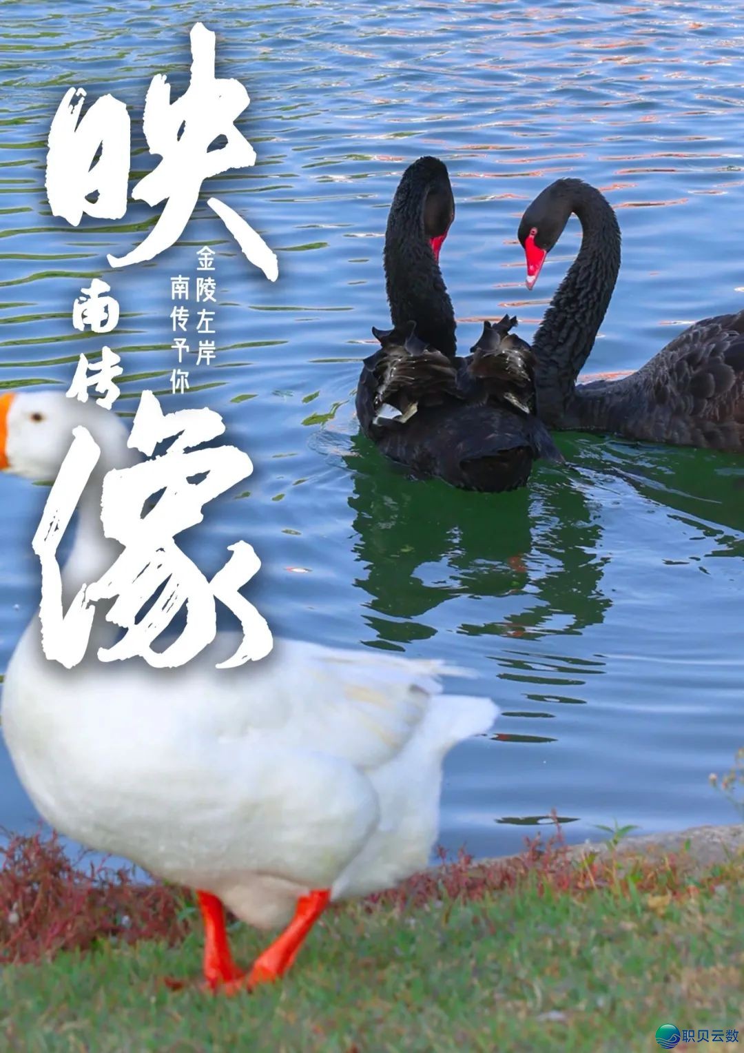 联袂DeepSeek ! 北京传媒教院智能招死问问体系沉磅上线!!w33.jpg