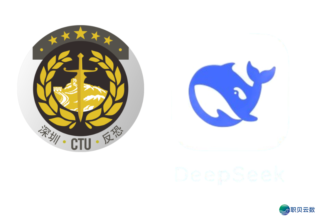 取Deepseek“聊”反恐(四)w3.jpg